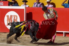 20230507-IMG_6762