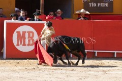 20230507-IMG_6913